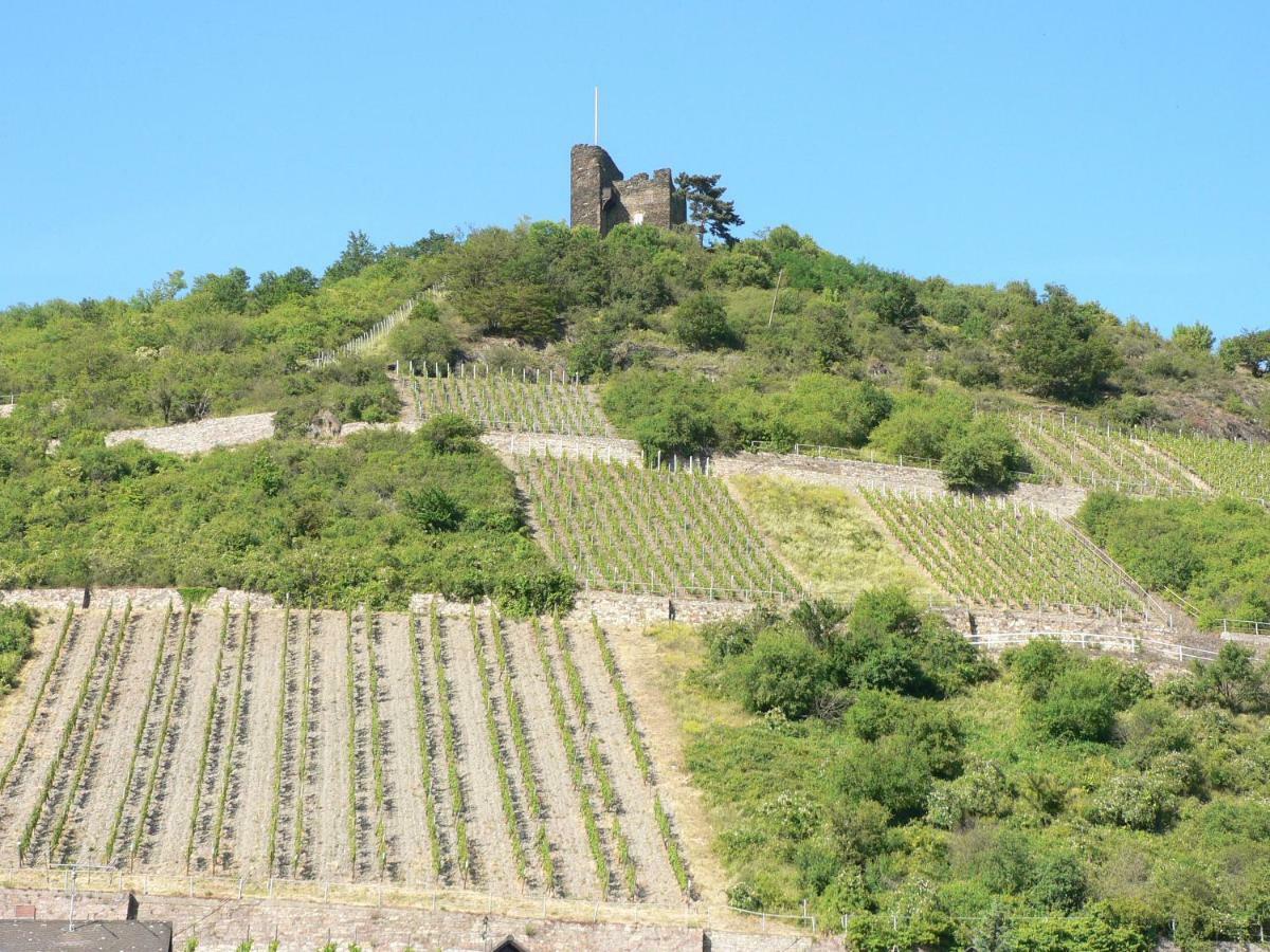 Gaestehaus Cheval Blanc Lorch am Rhein Exterior photo